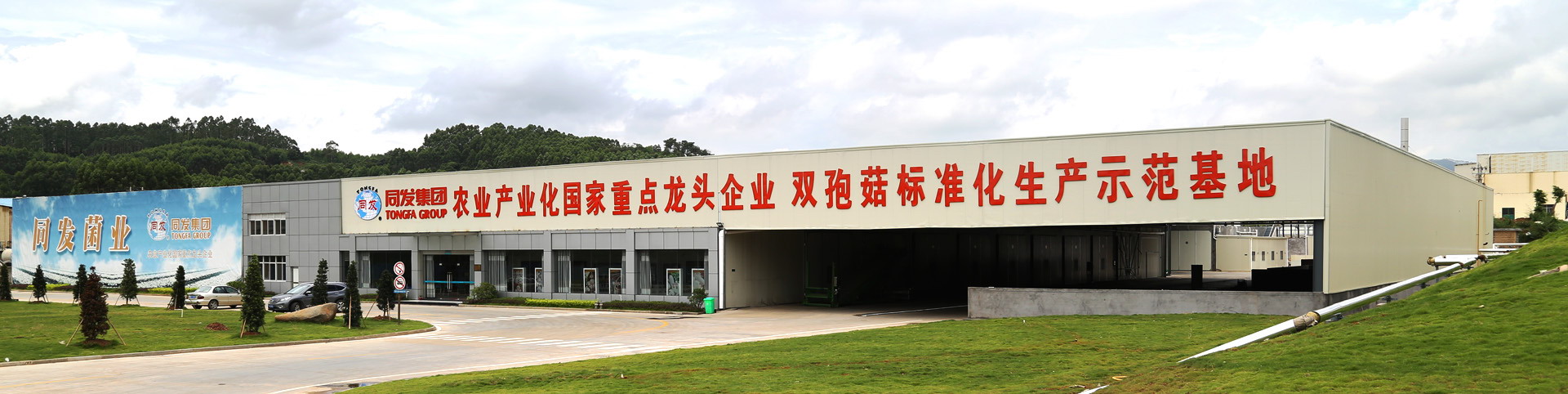 尊龙凯时 - 人生就是搏!